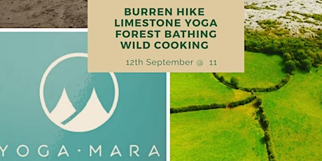 Wellness in Nature - Burren Farm Experience - Saturday 12 September 2020 primary image