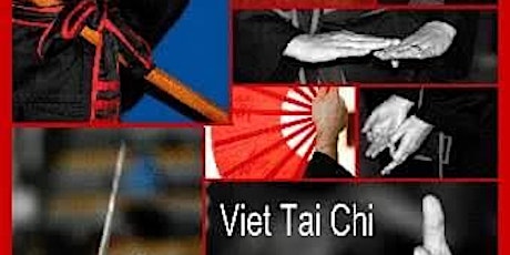 Immagine principale di Viet Tai Chi: Lezione Prova 