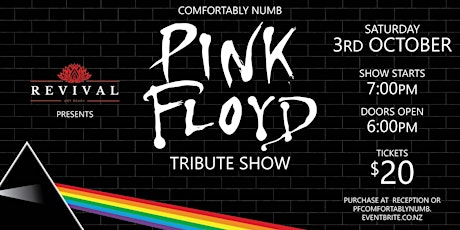 Comfortably Numb Pink Floyd Tribute