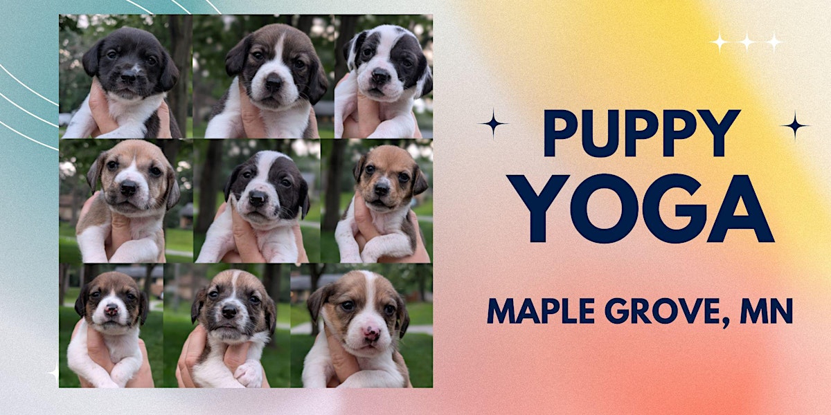 Puppy Yoga with No Dog Left Behind (Session 2)