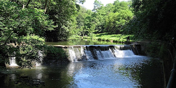 Snuff Mills River Walk - Guided evening stroll