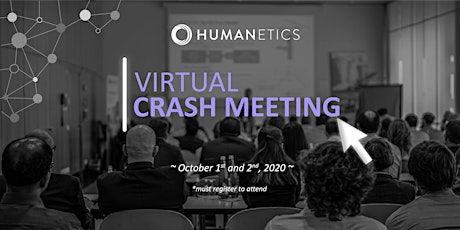 Virtual Crash Meeting 2020 - Humanetics Europe GmbH primary image