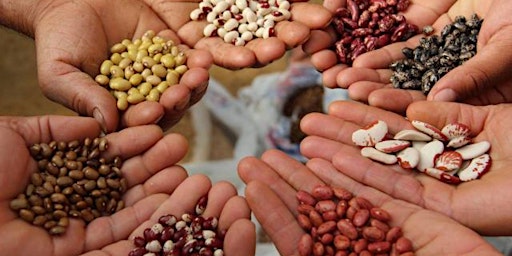 Image principale de Seed Saving Workshop