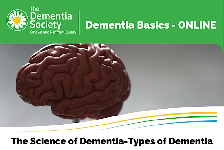 Dementia Basics LIVE Q&A  November 2020 image