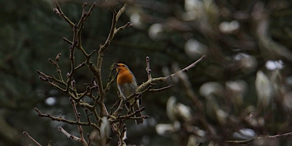 RSPB Big Garden Bird Watch at Kingston Uni - Dorich House