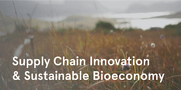 The Sustainable Bioeconomy: Trends and Value Chain Opportunities