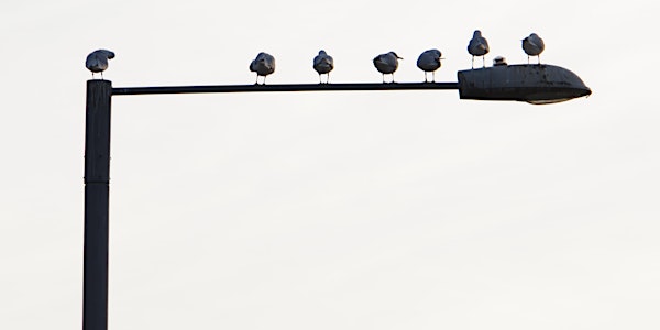 RSPB Big Garden Bird Watch at Kingston Uni - River House