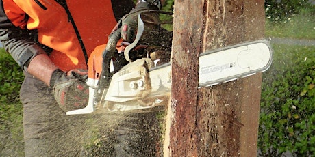 Chainsaw for Domestic Use primary image