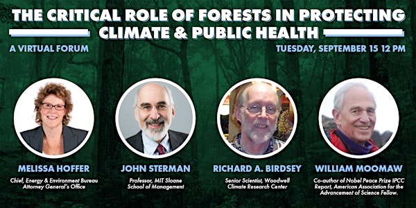 The Critical Role of Forests in Protecting Climate and Public Health