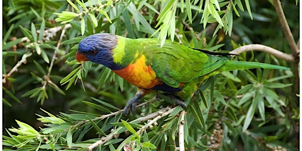Wildlife Queensland AGM 2020