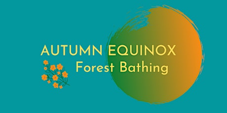 Autumn Equinox Forest Bathing primary image