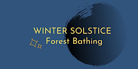 Winter Solstice Forest Bathing primary image
