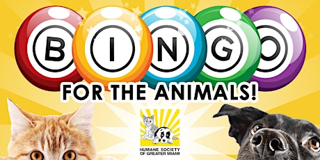 Virtual Bingo for the Animals
