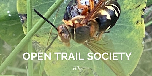 Image principale de Open Trail Society
