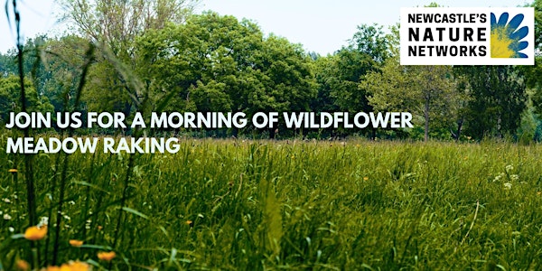 Wildflower Raking