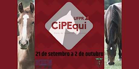 Imagem principal do evento CiPEqui UFPR