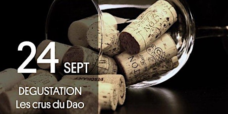 Hauptbild für Dégustation et Master Class Vins du Da˙o