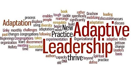 Adaptive Leadership for Sustained Ministry