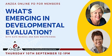 ANZEA Member Session: What’s emerging in Developmental Evaluation? primary image