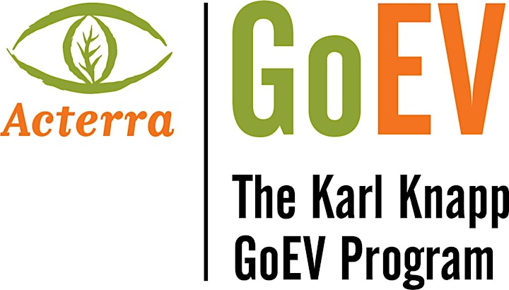Go EV in 2021! image