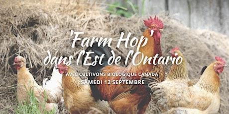 Visite autoguidée des fermes (avec Cultivons Bio dans l'Est de l'Ontario) primary image