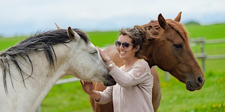 Horse Medicine Experience: Compassionate Communication primary image