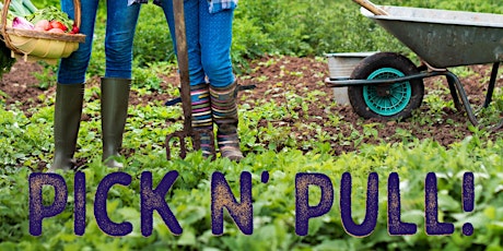 Pick n' Pull at Gather and Feast Farm!