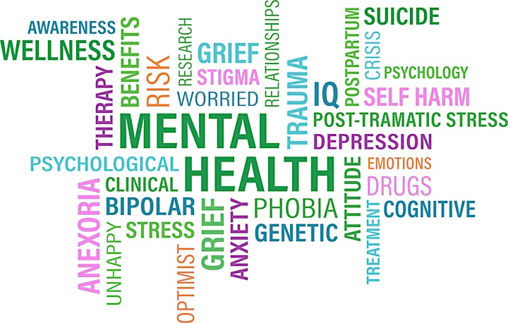 HealthierJC Mental Health First Aid - Online Class 7/14/2021 -SOPHE image
