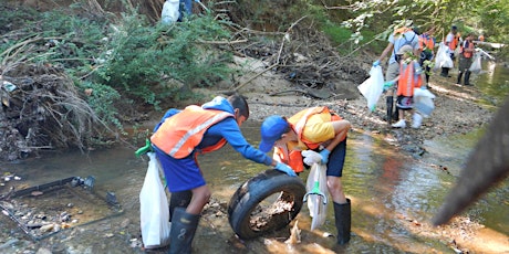 Stream Cleanup