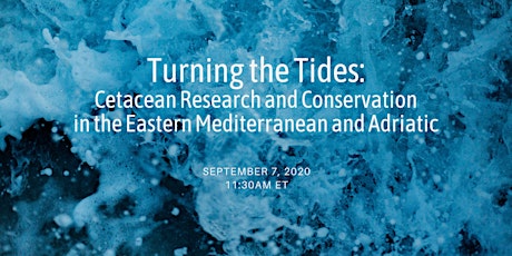 Cetacean Research and Conservation in Turkey and Montenegro