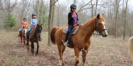 Imagem principal do evento Horseback Trail Rides at Camp Henry