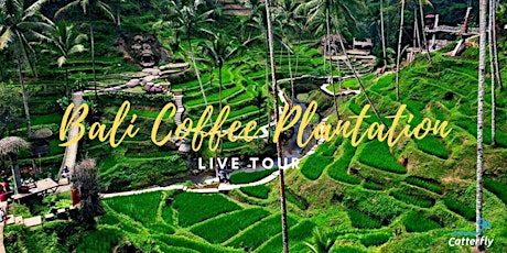 Hauptbild für FREE LIVE Tour of Bali Coffee Plantation