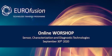 EUROfusion Workshop on Sensor, Characterization and Diagnostic techologies