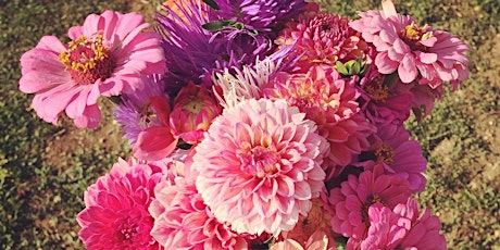 Image principale de Découverte des ateliers floraux