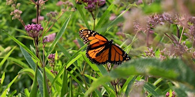 Image principale de Wildflower Festival Bike Tour
