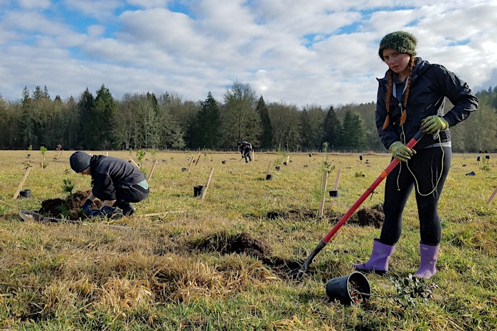 
		Powell Creek Protected Area Planting with Nisqually River Education Project image
