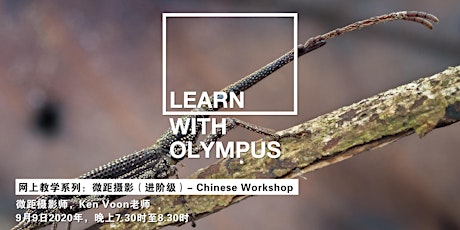 Learn With Olympus - 微距摄影（进阶级）| Chinese Workshop primary image