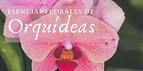 Esencias de Orquídeas Colombianas primary image