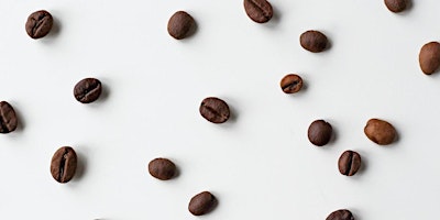 Spill the (Coffee) Beans: Owl Entrepreneurs