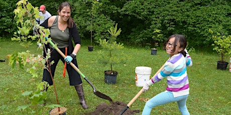 Fall 2020 Tree Planting Events Tickets, Sat, 17 Oct 2020 at 1:00 PM |  Eventbrite