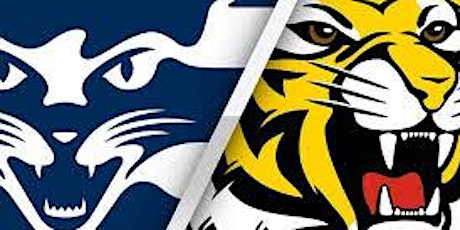 Round 17 - Richmond vs Geelong - LIVE @ The Cammy primary image