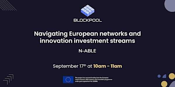 Navigating European networks and innovation investment streams
