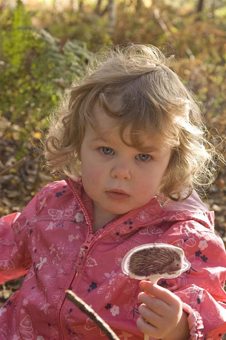 Kids in the Woods at Leigh Woods (Weds summer 2021) image