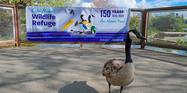 150th Anniversary of the Lake Merritt Wildlife Refuge Virtual Celebration!