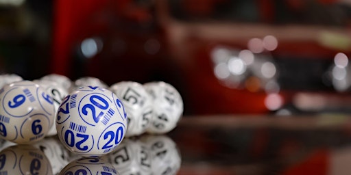 Image principale de Bingo