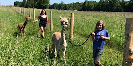 Primaire afbeelding van Alpaca Walk