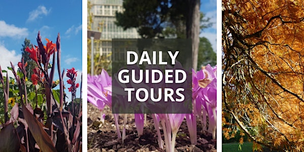 September Daily Guided Tours