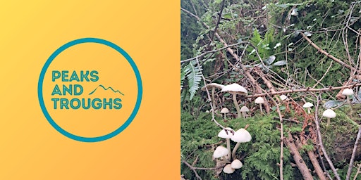 Feede Forest Bathing primary image