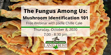 The Fungus Among Us: Mushroom Identification 101 primary image