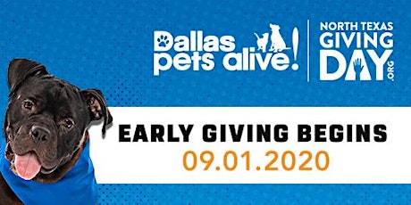Imagen principal de Dallas Pets Alive!'s North Texas Giving Day Virtual Watch Party